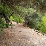 Traditional Stone Build Shale Apartment